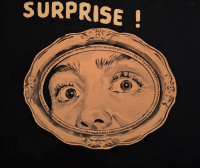 https://www.andreasleikauf.net:443/files/gimgs/th-51_surprise.jpg